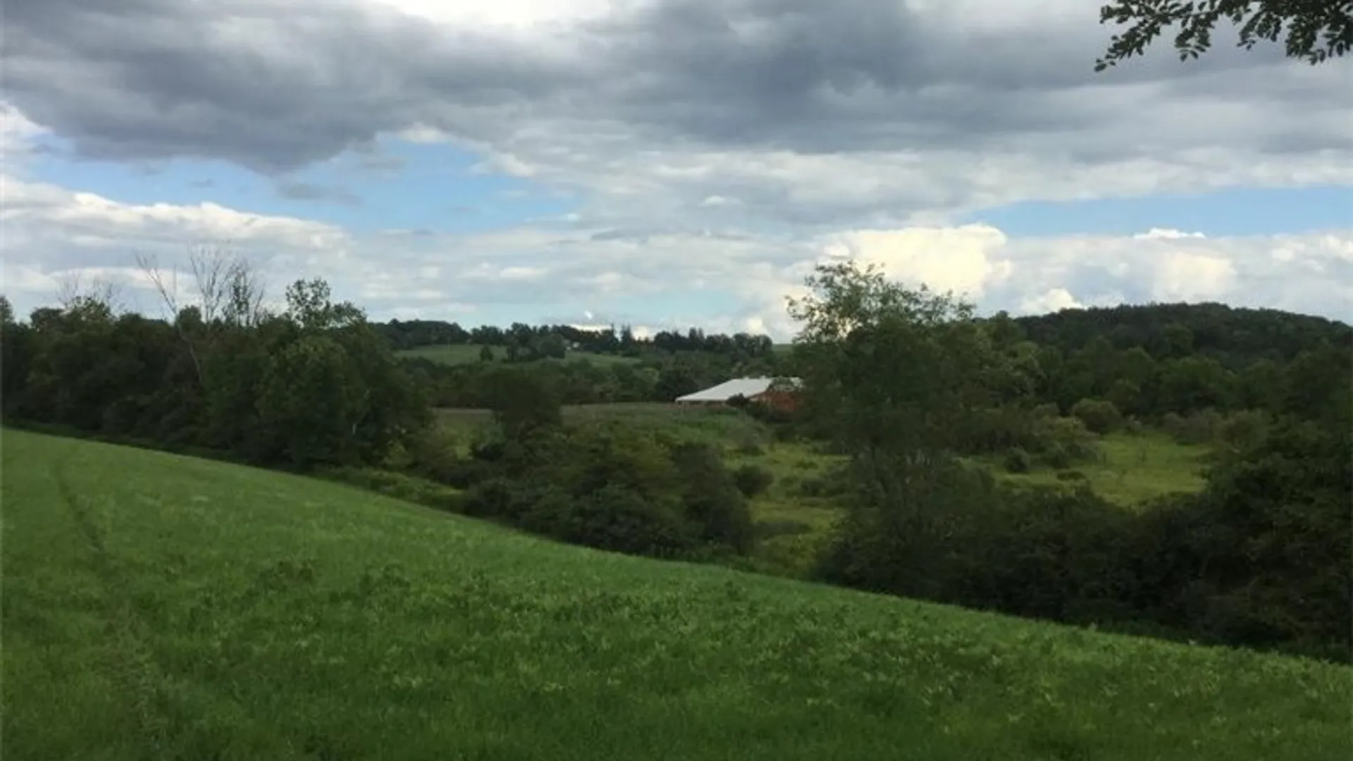 Property at 143 Lake Road, Columbia, NY 13491 32