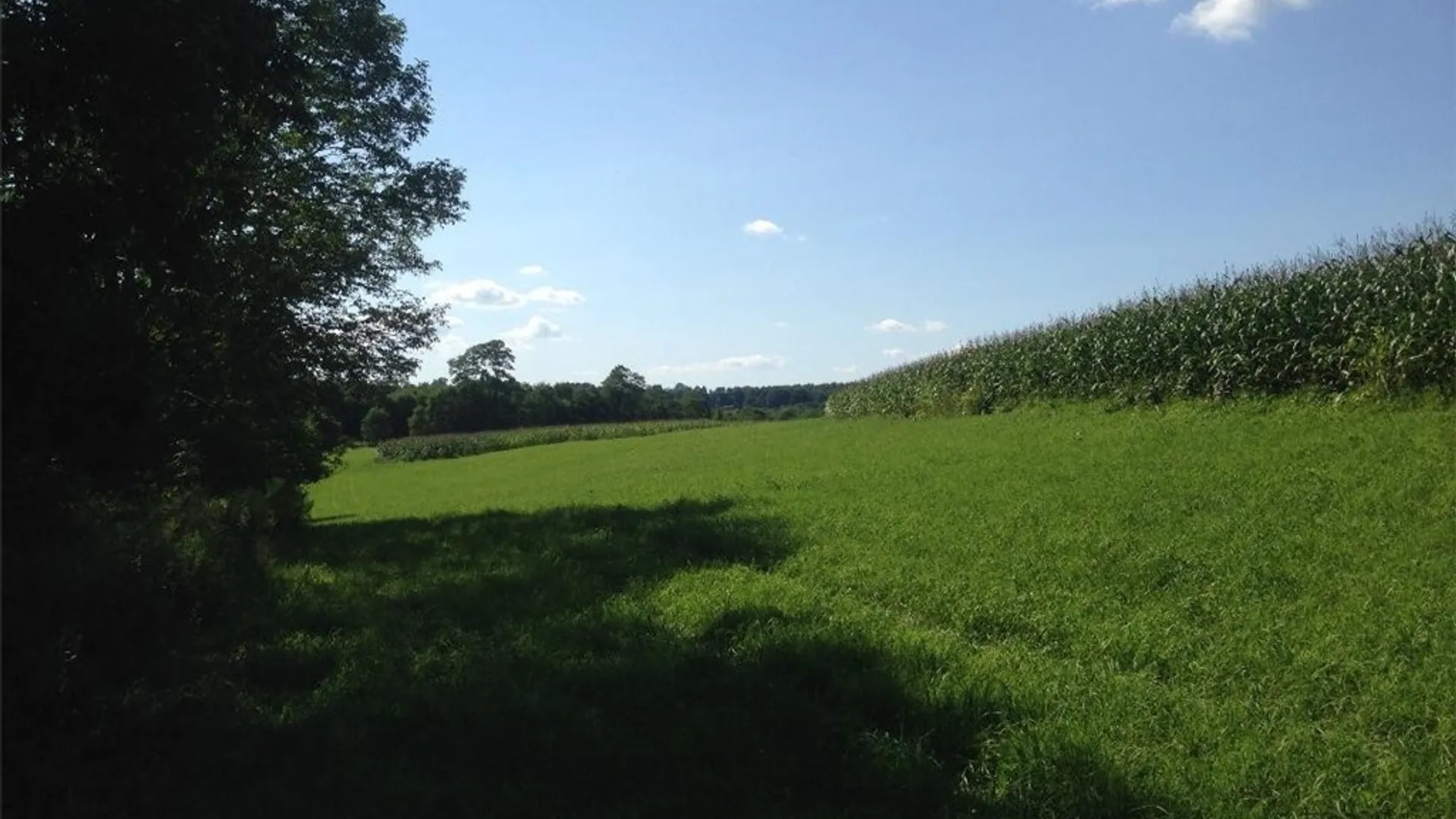 Property at 143 Lake Road, Columbia, NY 13491 33