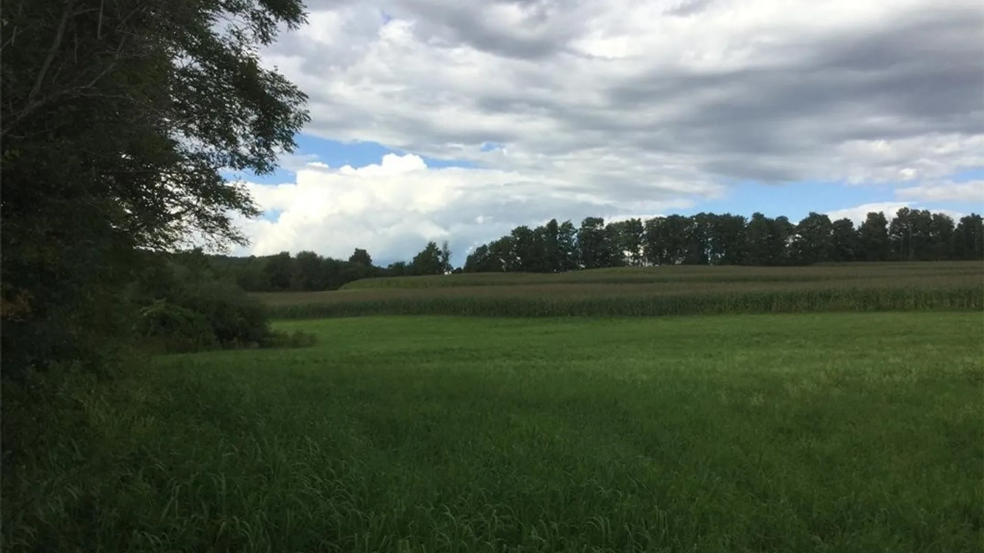 Property at 143 Lake Road, Columbia, NY 13491 34