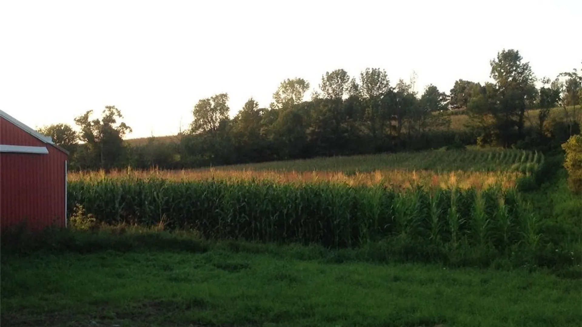 Property at 143 Lake Road, Columbia, NY 13491 4