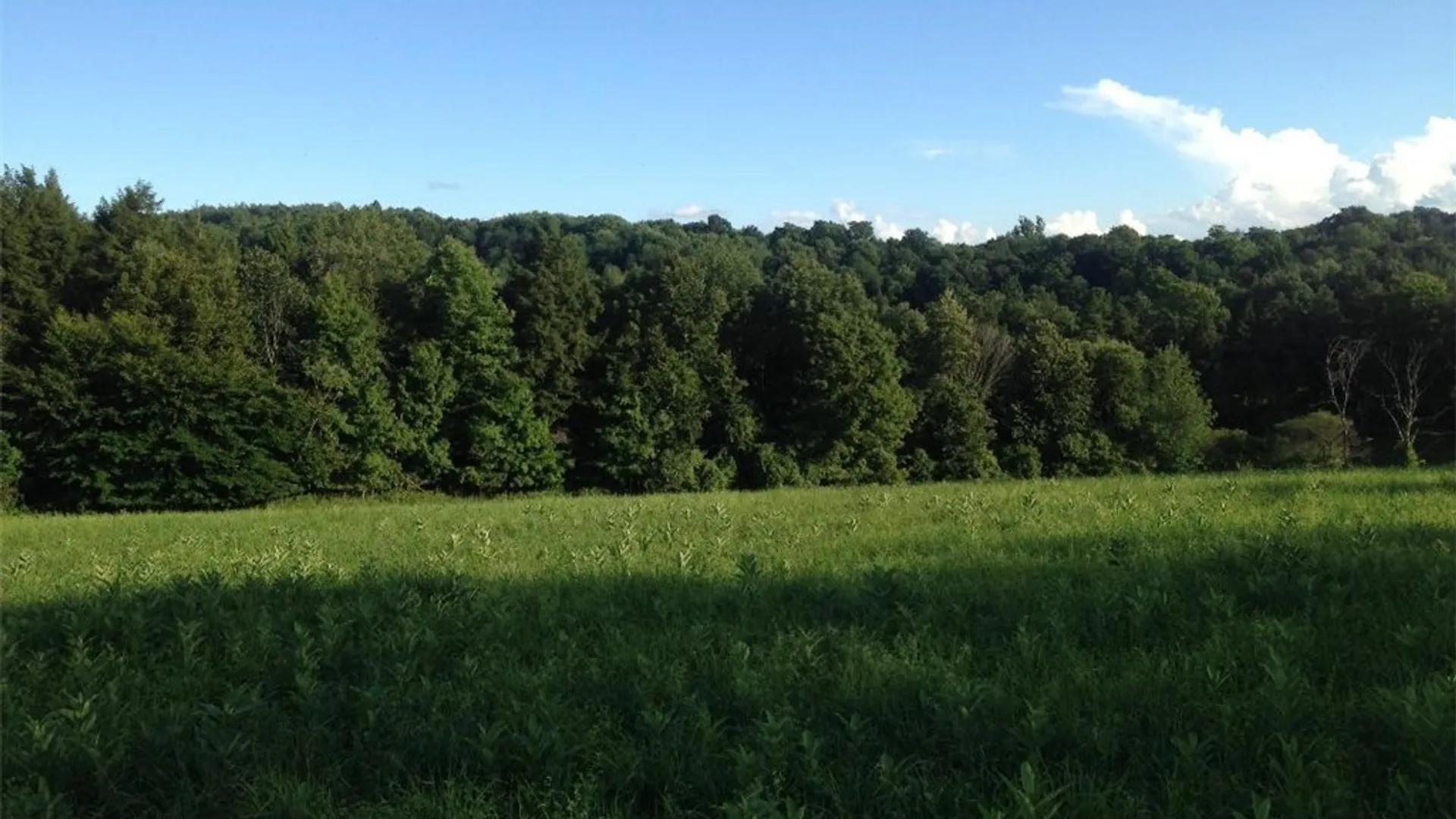 Property at 143 Lake Road, Columbia, NY 13491 5