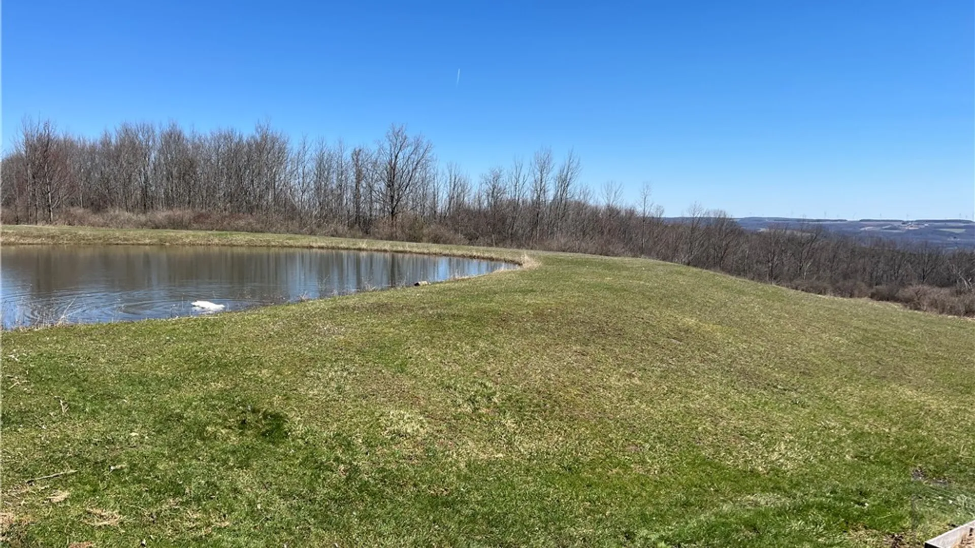 Property at 8970 Cook Road, Almond, NY 14804 32
