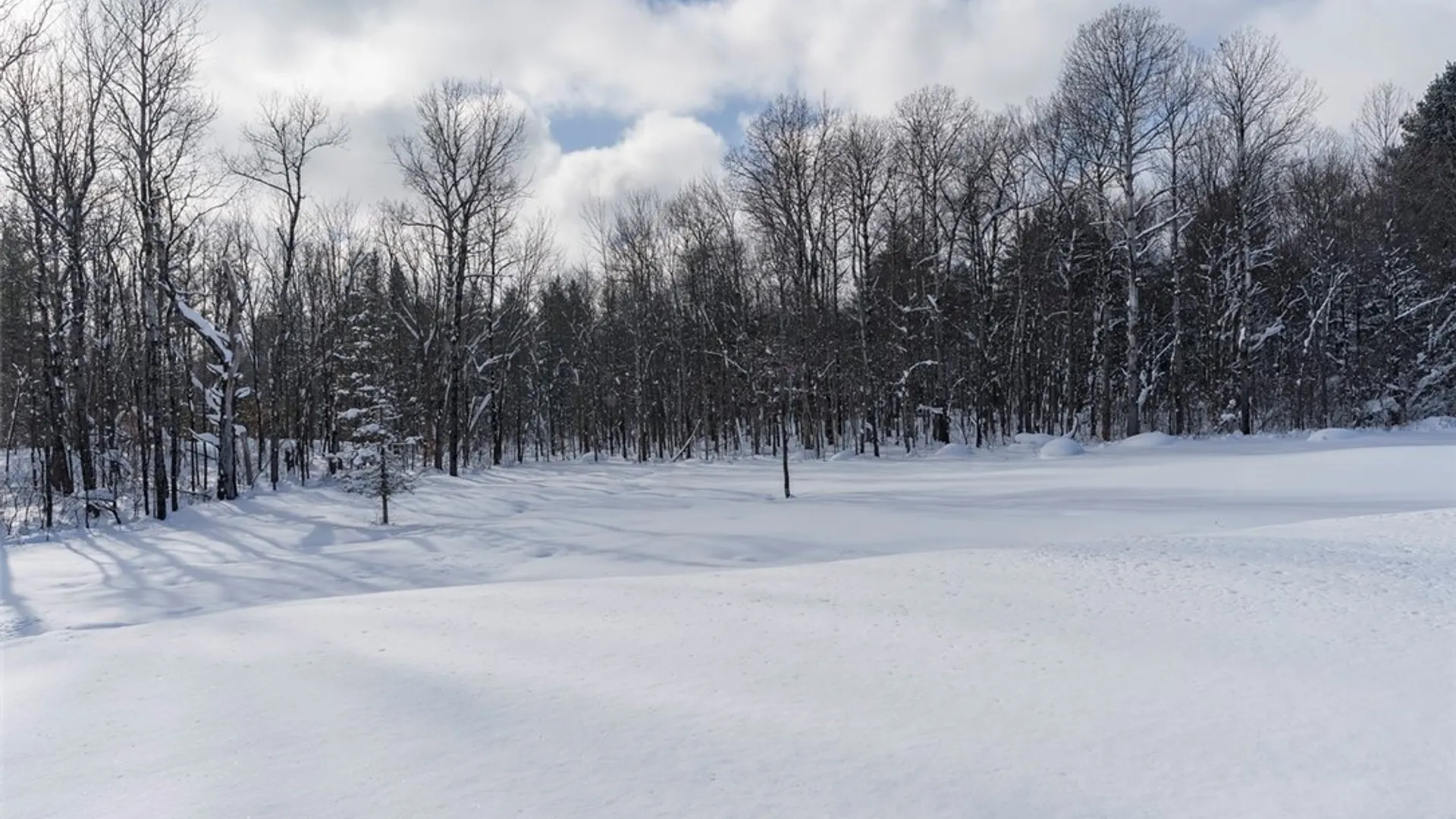 Property at 12867 Croghan Road, Wilna, NY 13665 46