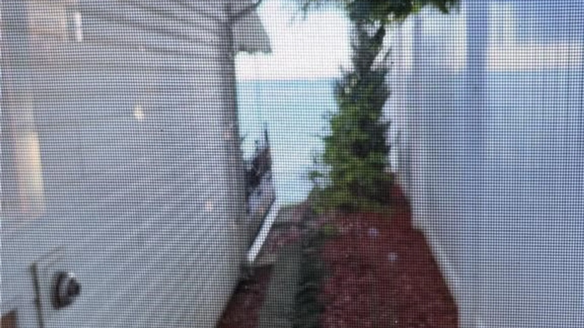 Property at 5669 West Bluff, Newfane, NY 14126 14