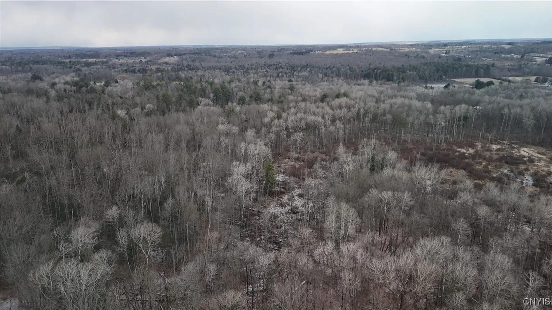 Property at 0 Lot C Dryden Road, Dryden, NY 13068 2