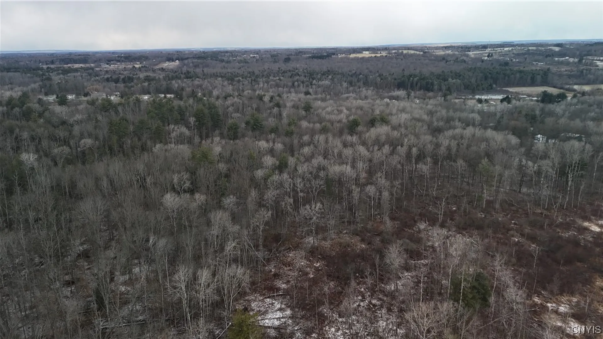 Property at 0 Lot C Dryden Road, Dryden, NY 13068 3