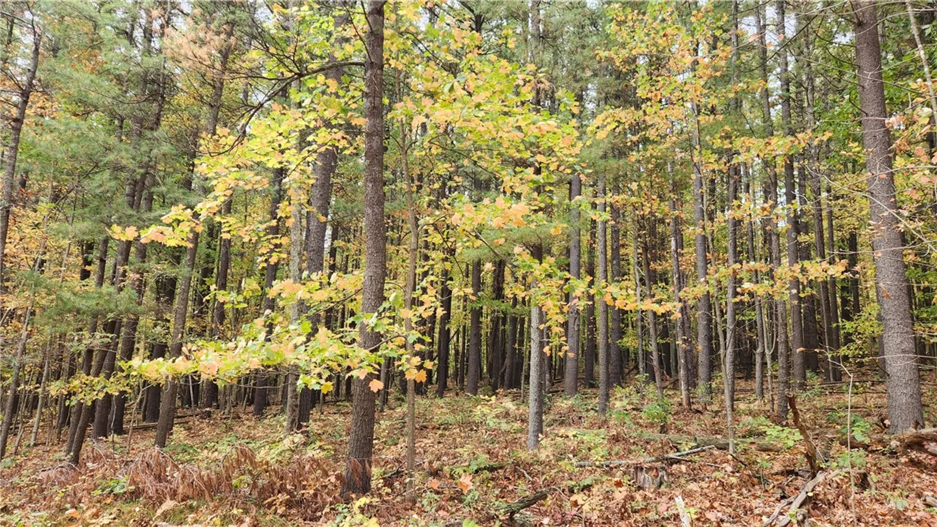 Property at Hanyon Road, Canisteo, NY 14823 17