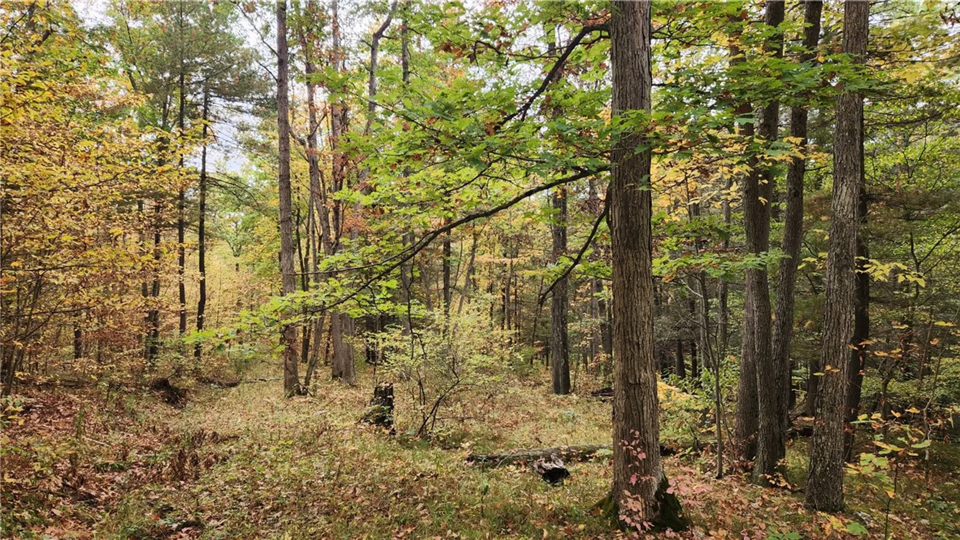 Property at Hanyon Road, Canisteo, NY 14823 18