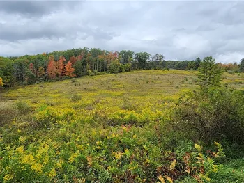 Property at Hanyon Road, Canisteo, NY 14823