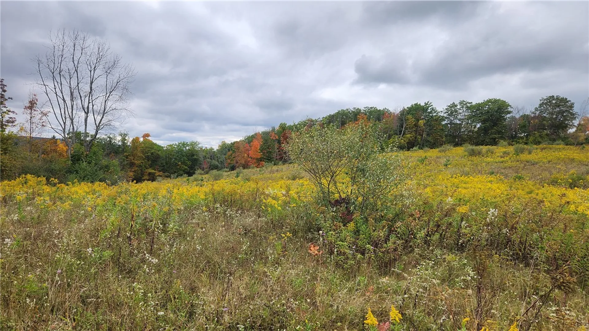 Property at Hanyon Road, Canisteo, NY 14823 2