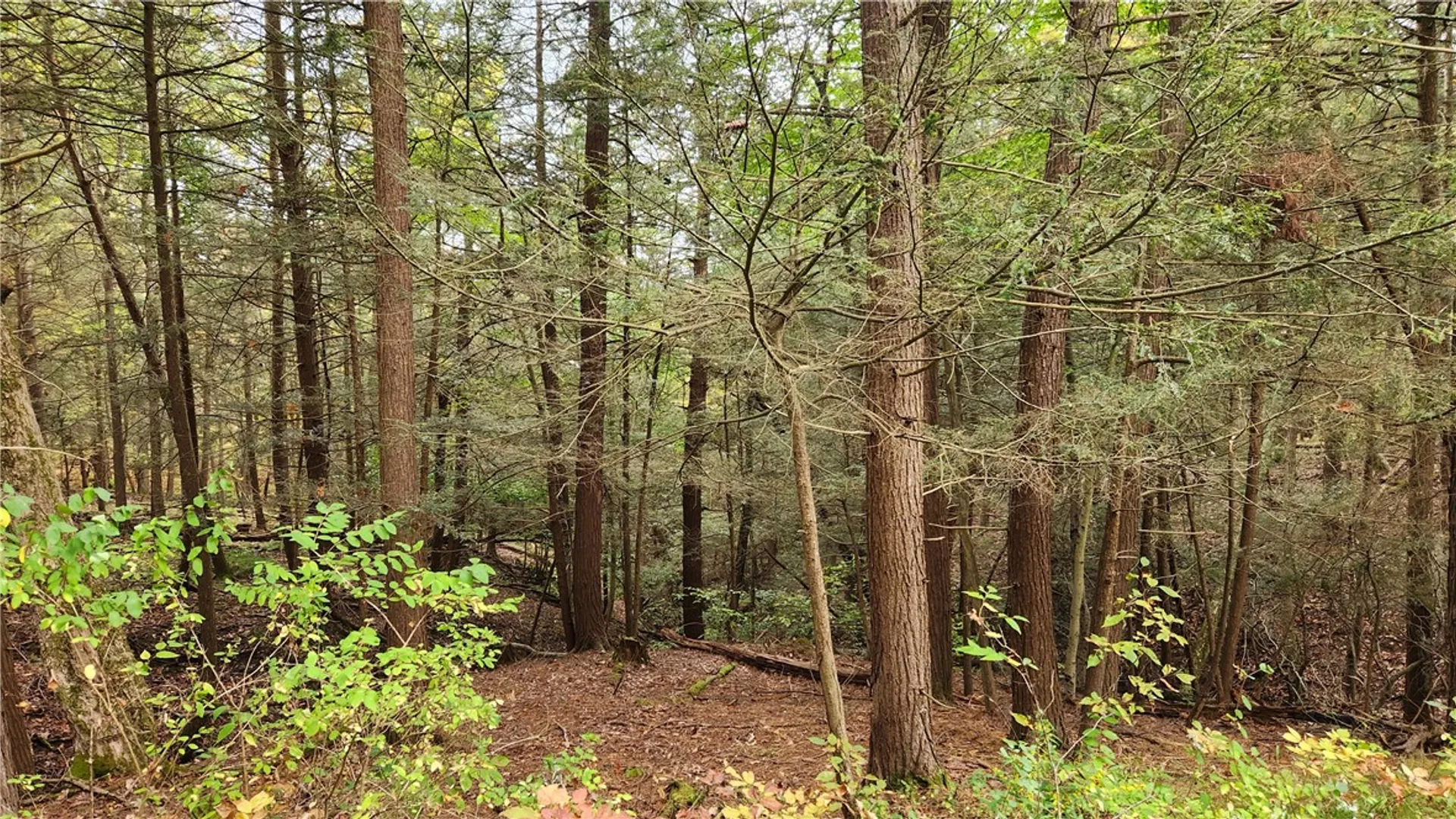 Property at Hanyon Road, Canisteo, NY 14823 20