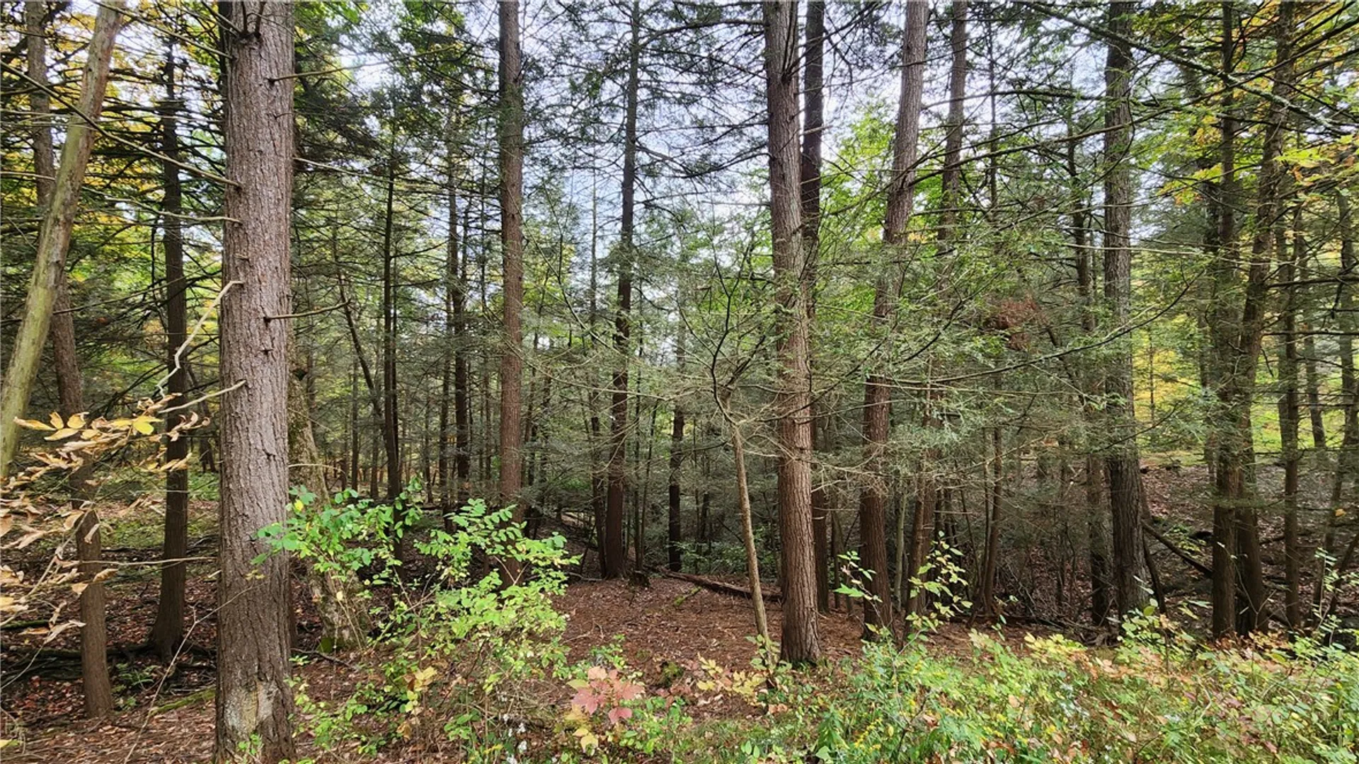Property at Hanyon Road, Canisteo, NY 14823 22