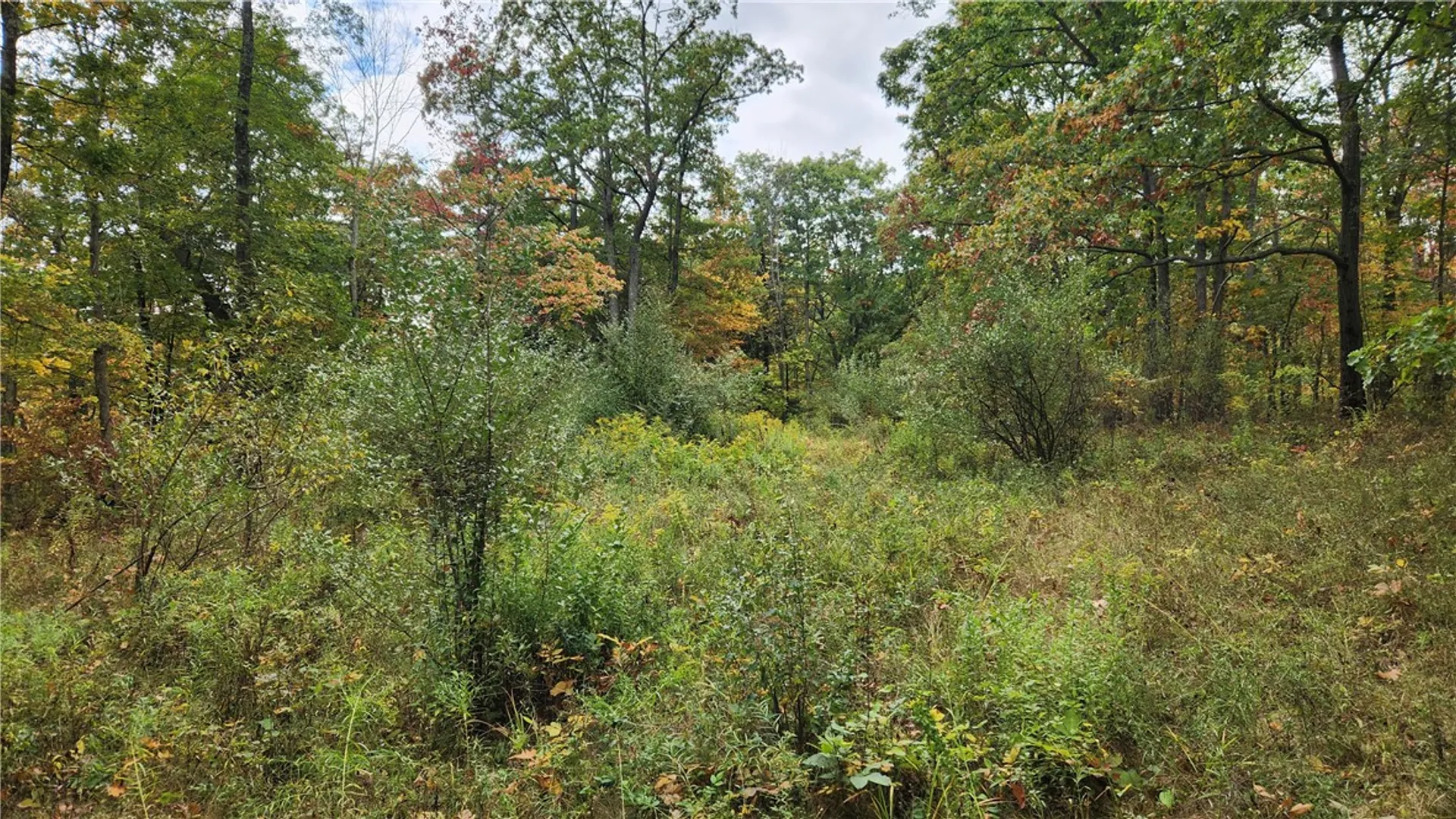 Property at Hanyon Road, Canisteo, NY 14823 25