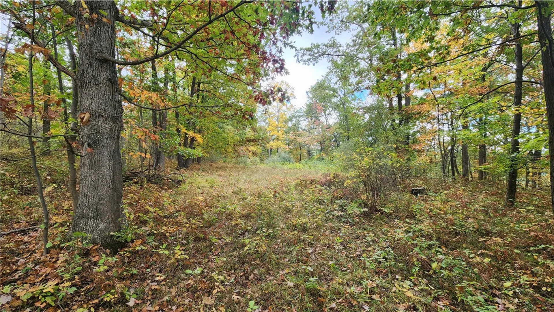 Property at Hanyon Road, Canisteo, NY 14823 27