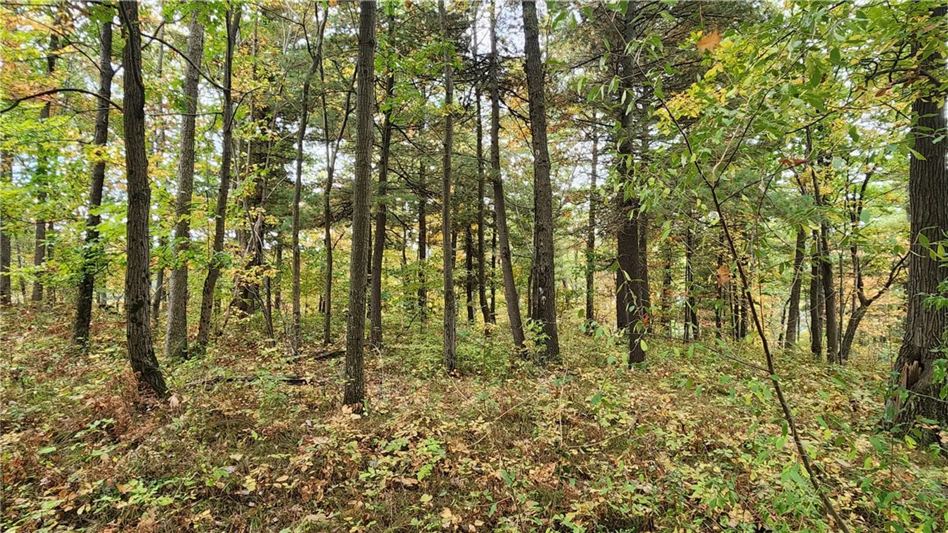 Property at Hanyon Road, Canisteo, NY 14823 28