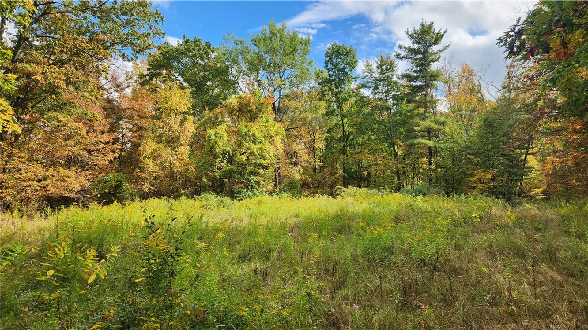 Property at Hanyon Road, Canisteo, NY 14823 30