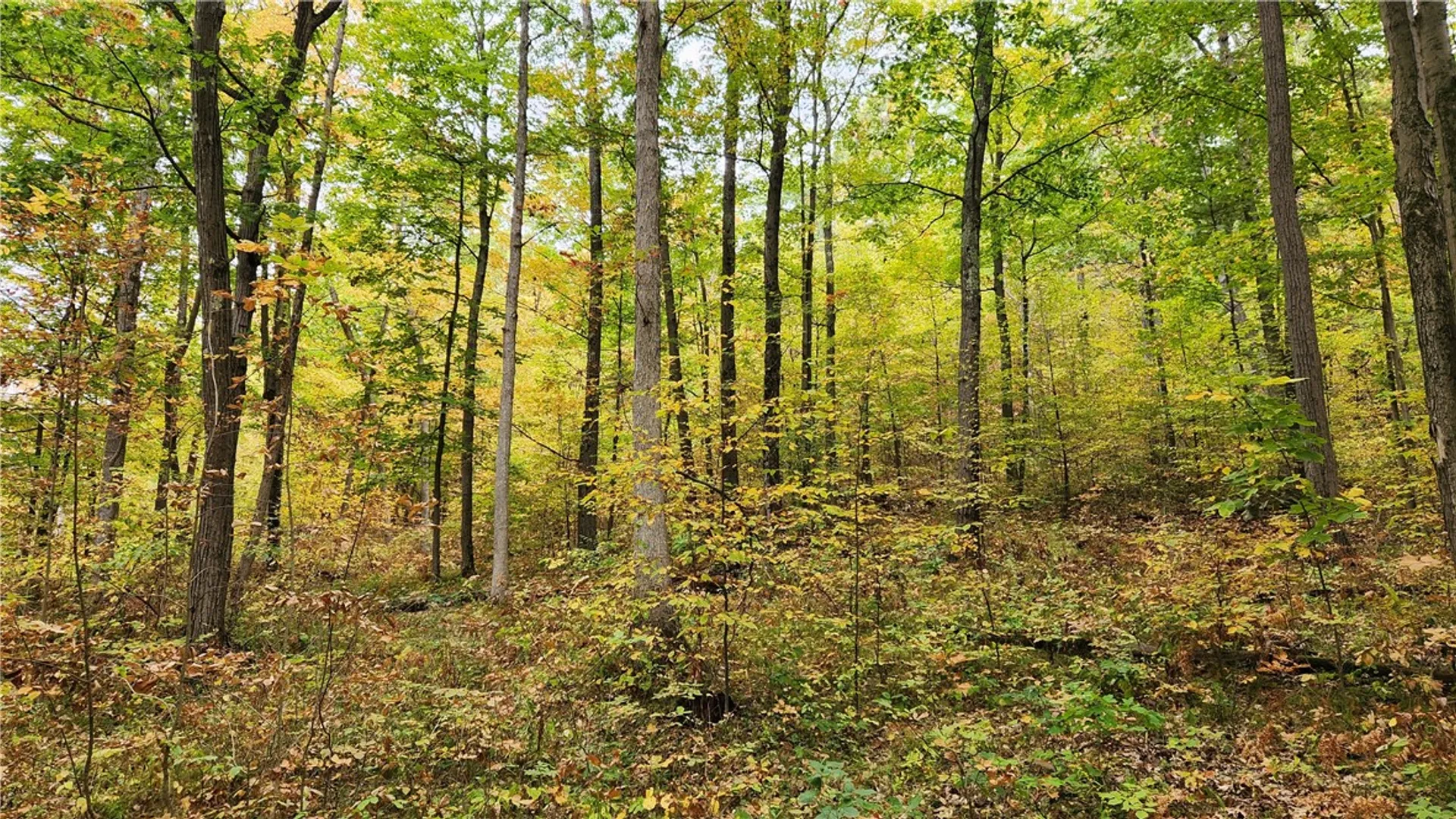 Property at Hanyon Road, Canisteo, NY 14823 7