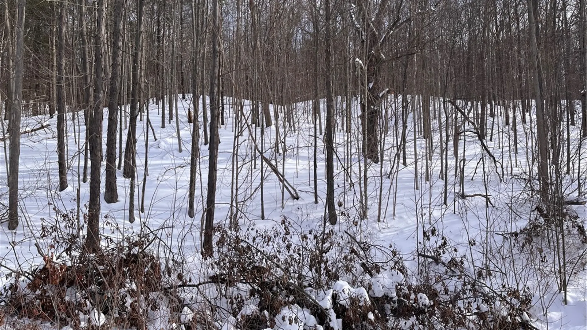 Property at 0 Rt-64, Bristol, NY 14424 10