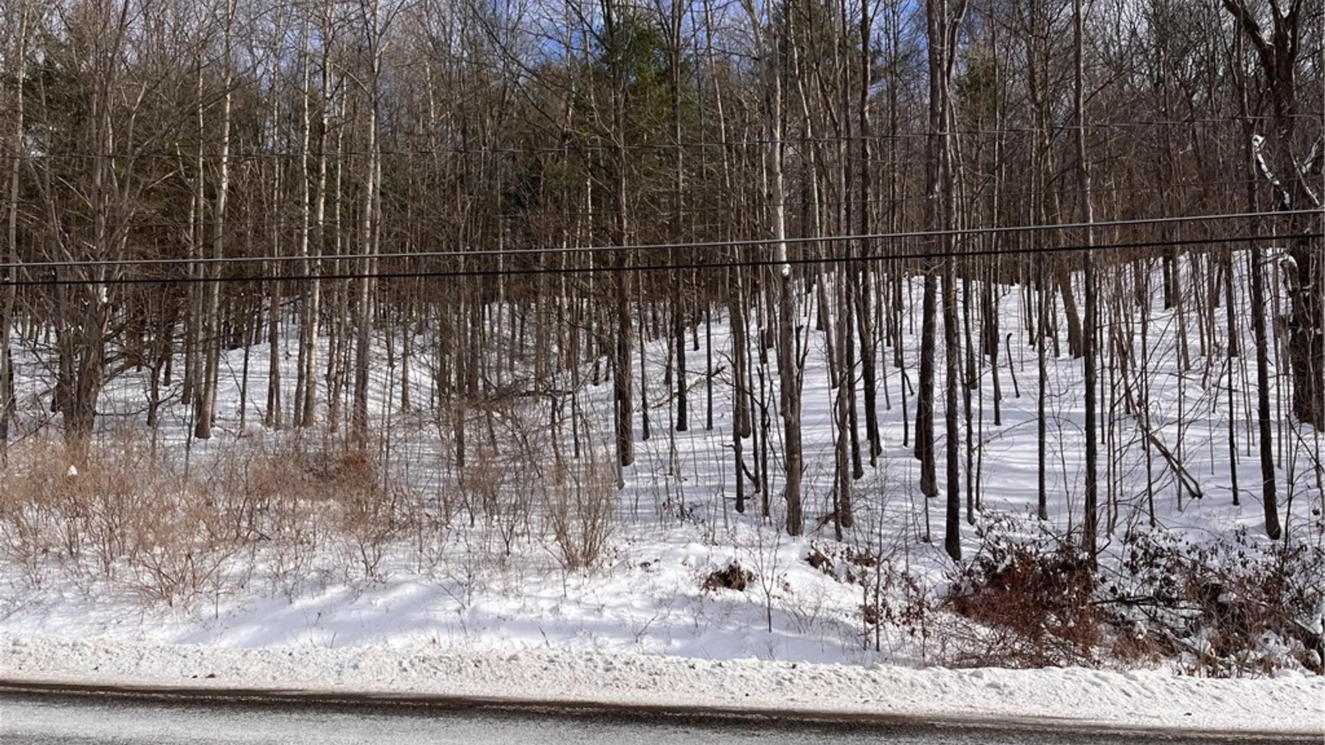 Property at 0 Rt-64, Bristol, NY 14424 11