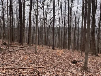 0 Rt-64, Bristol, NY 14424