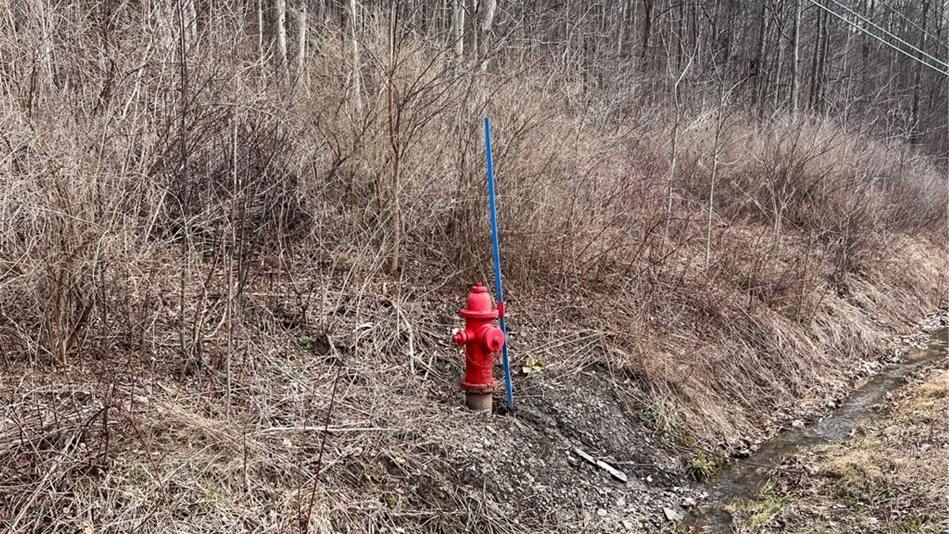 Property at 0 Rt-64, Bristol, NY 14424 2