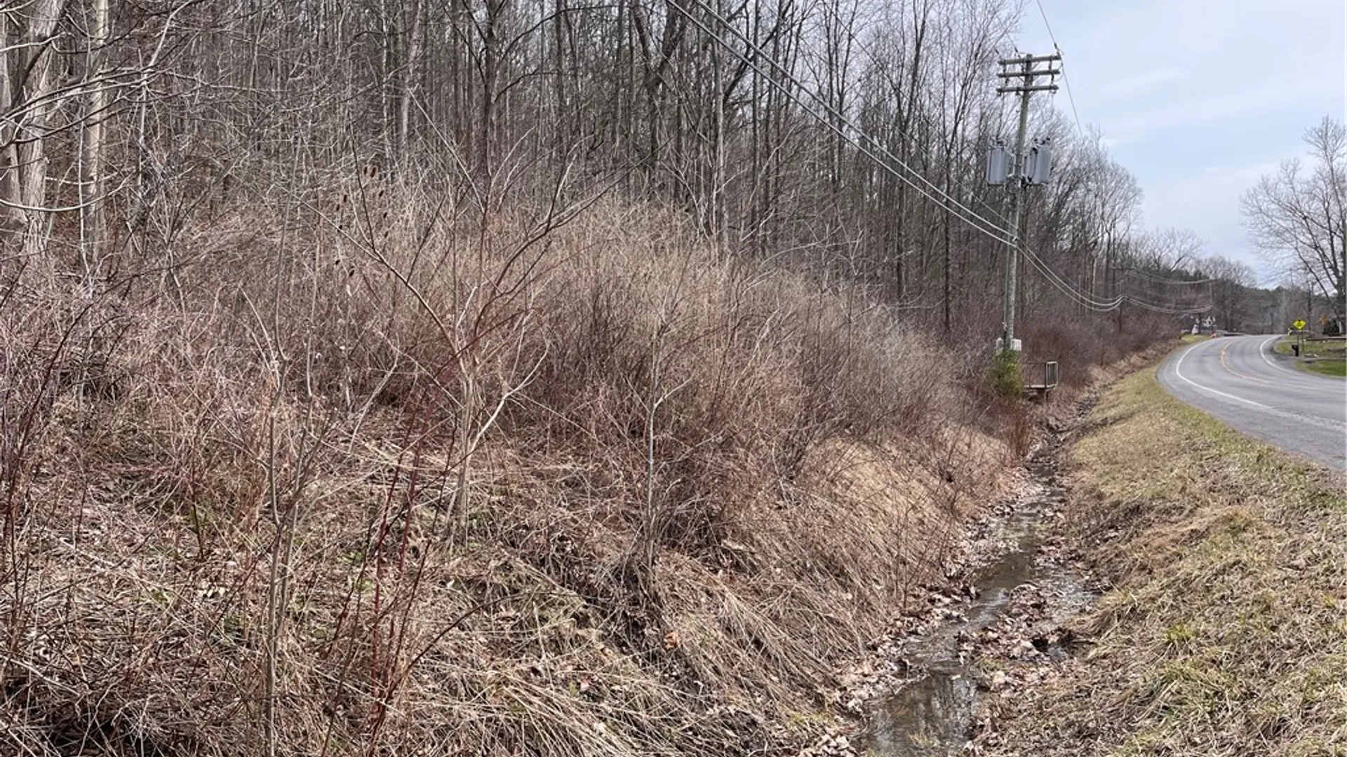 Property at 0 Rt-64, Bristol, NY 14424 5