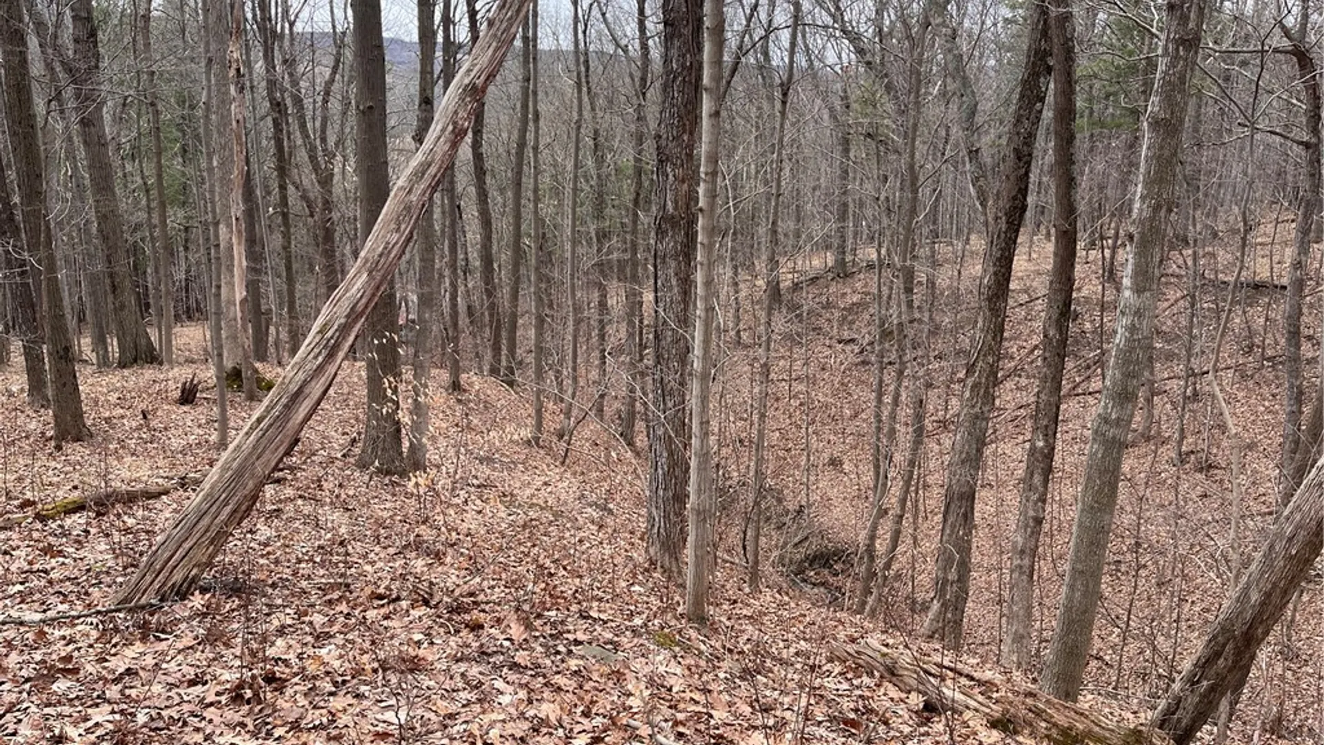 Property at 0 Rt-64, Bristol, NY 14424 8