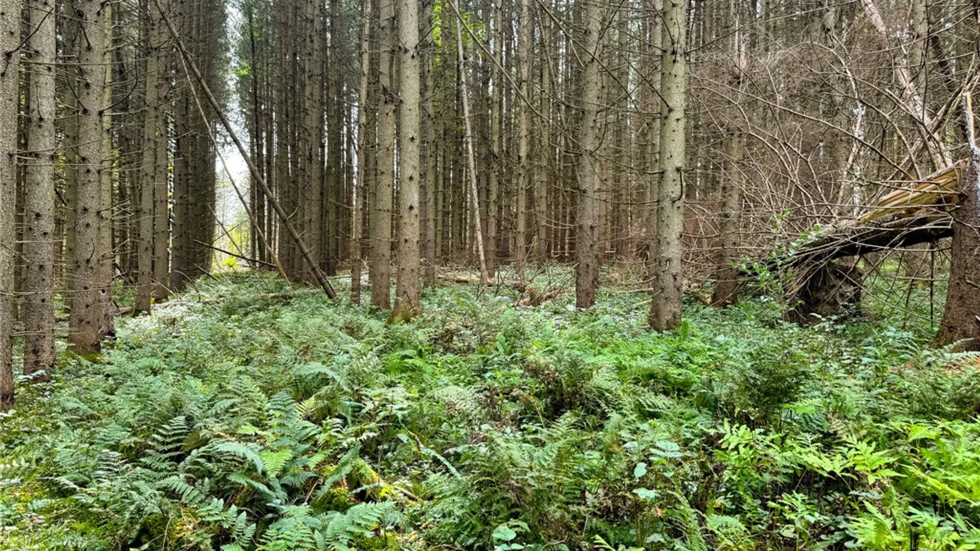 Property at 7465 Chappel Road, Hamilton, NY 13346 10