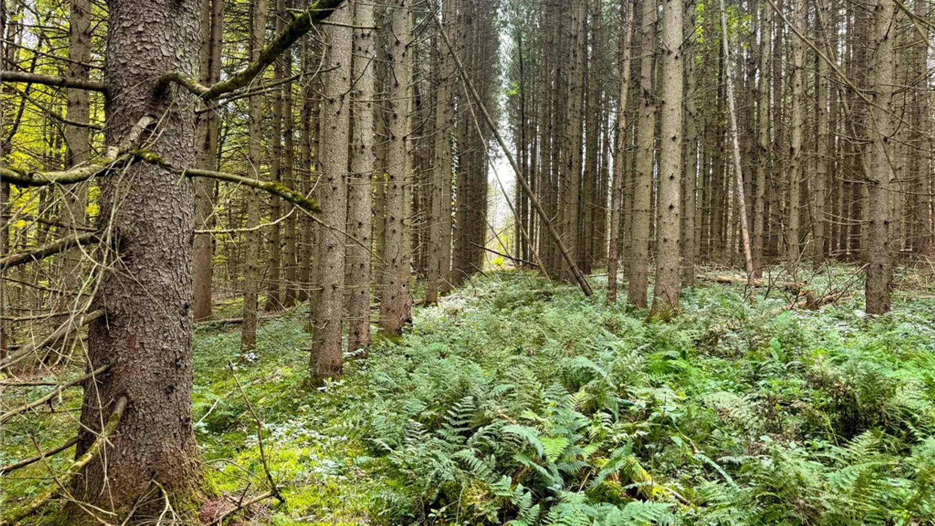 Property at 7465 Chappel Road, Hamilton, NY 13346 11