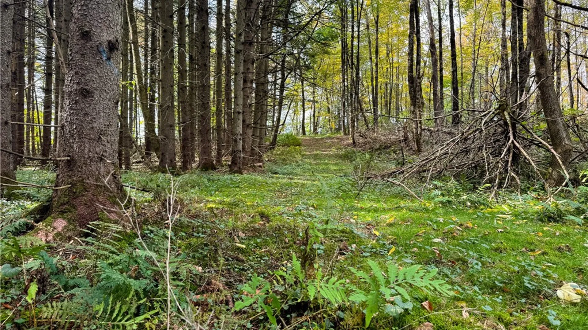 Property at 7465 Chappel Road, Hamilton, NY 13346 12