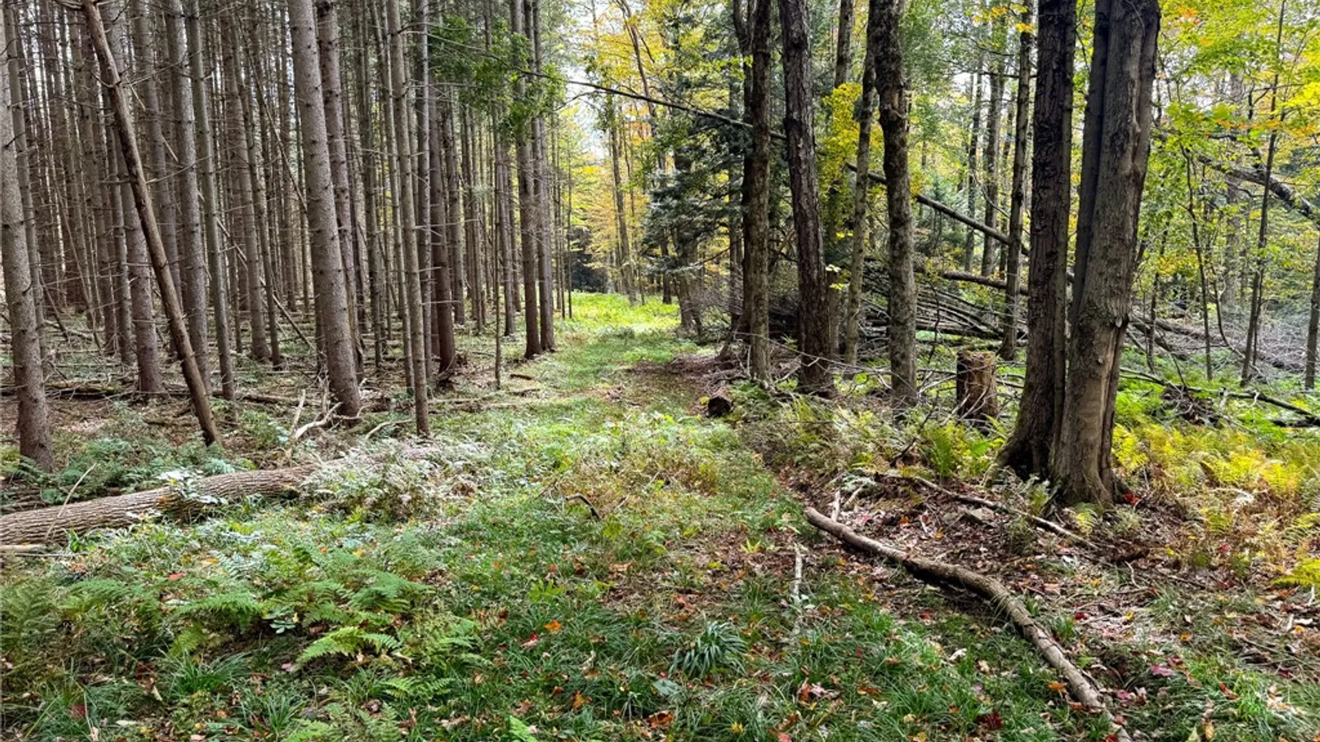 Property at 7465 Chappel Road, Hamilton, NY 13346 15