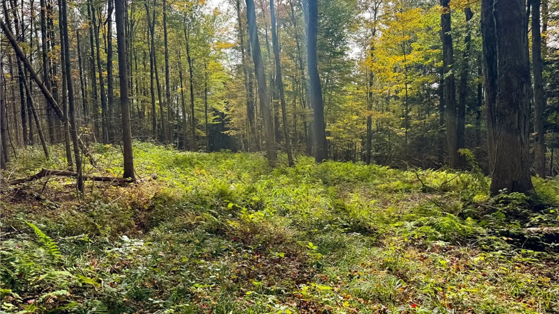 Property at 7465 Chappel Road, Hamilton, NY 13346 16