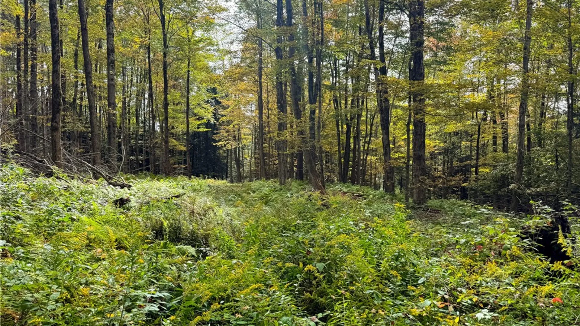 Property at 7465 Chappel Road, Hamilton, NY 13346 17