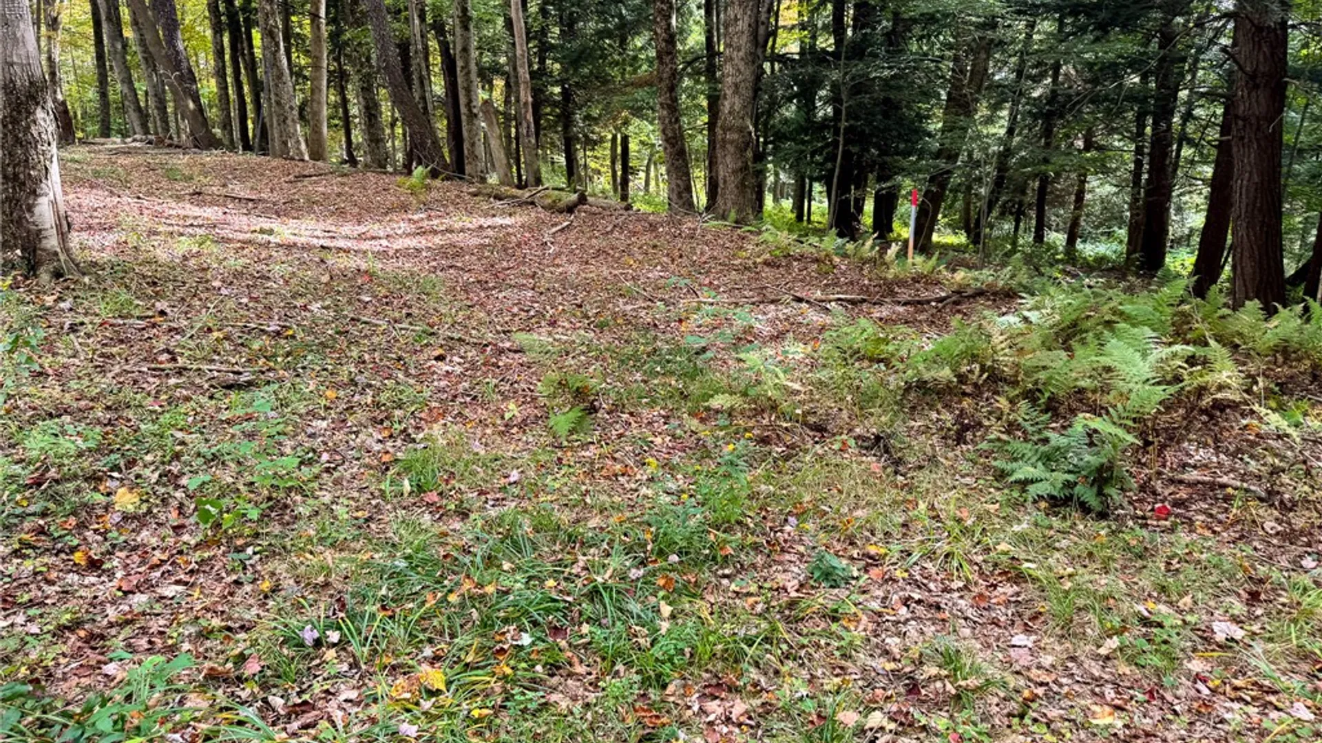 Property at 7465 Chappel Road, Hamilton, NY 13346 18