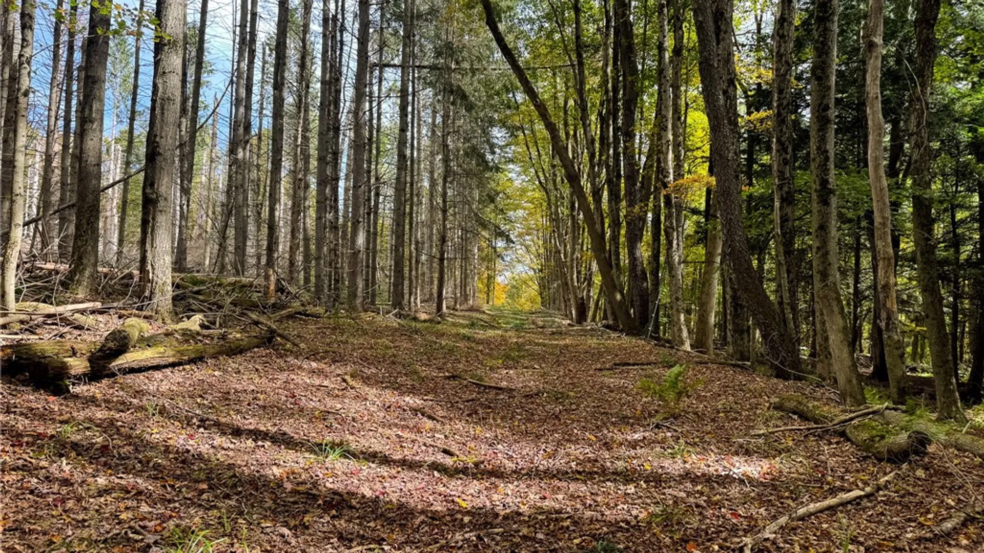 Property at 7465 Chappel Road, Hamilton, NY 13346 19