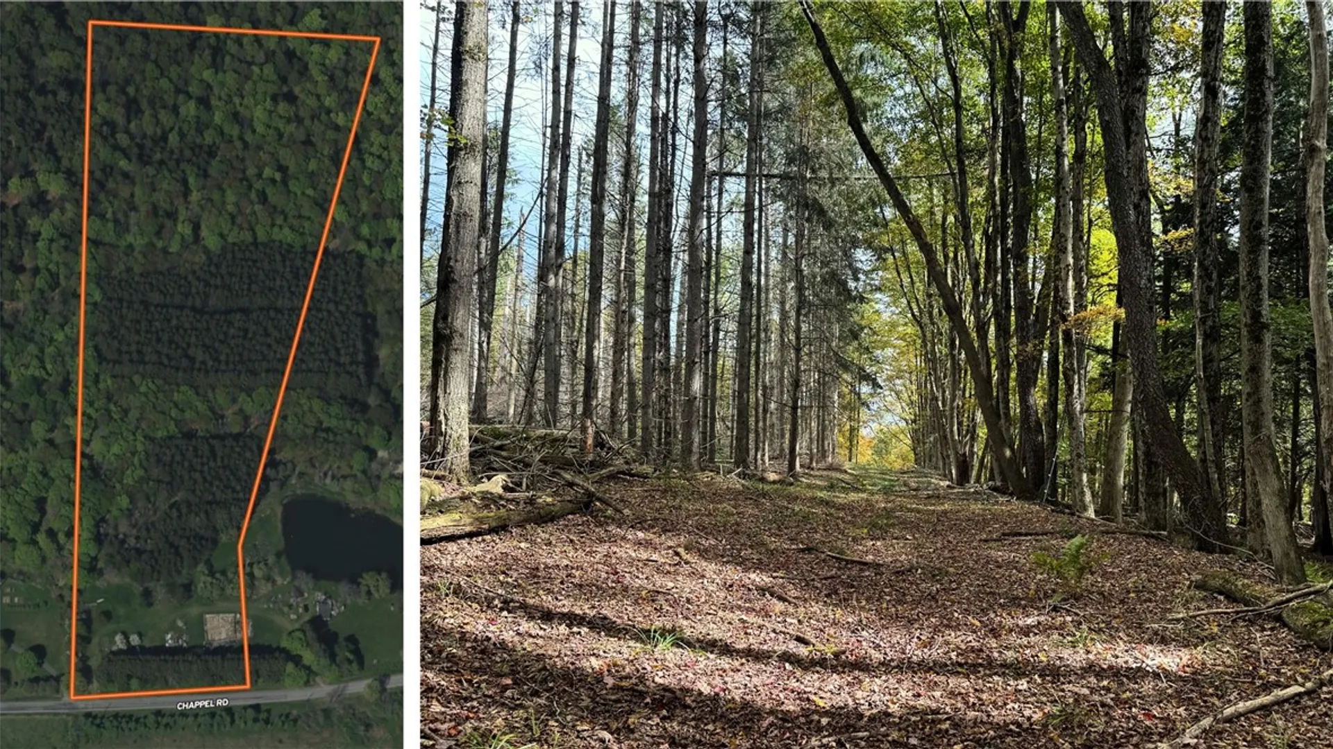 Property at 7465 Chappel Road, Hamilton, NY 13346 2