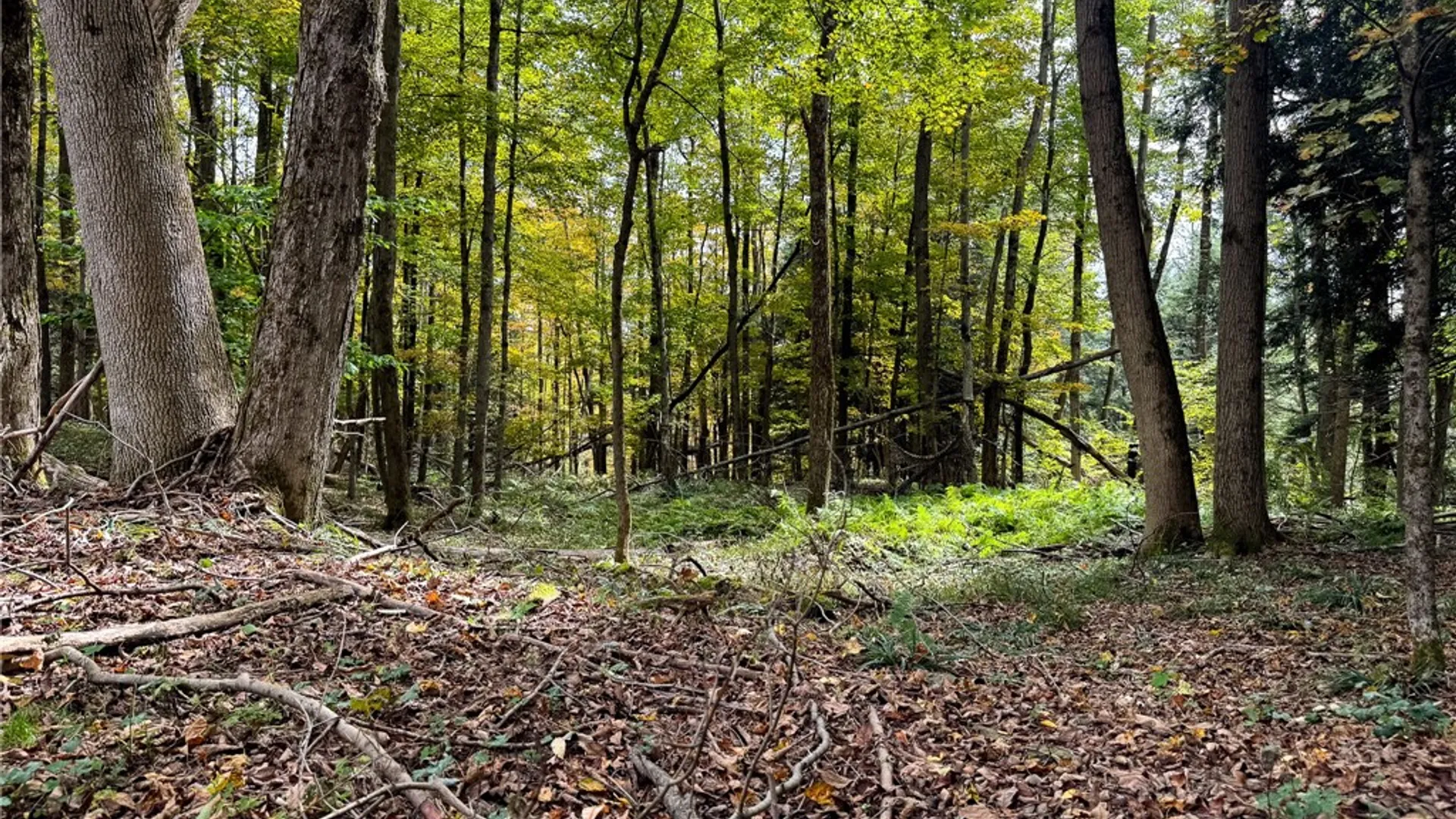 Property at 7465 Chappel Road, Hamilton, NY 13346 20