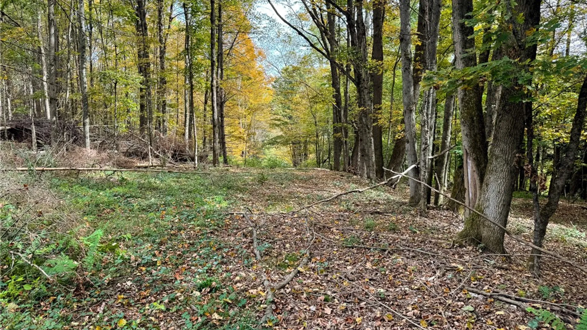 Property at 7465 Chappel Road, Hamilton, NY 13346 21