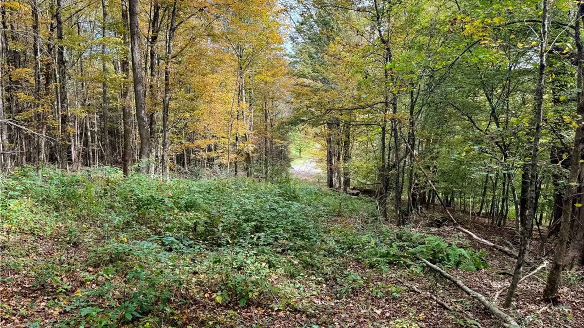 Property at 7465 Chappel Road, Hamilton, NY 13346 22