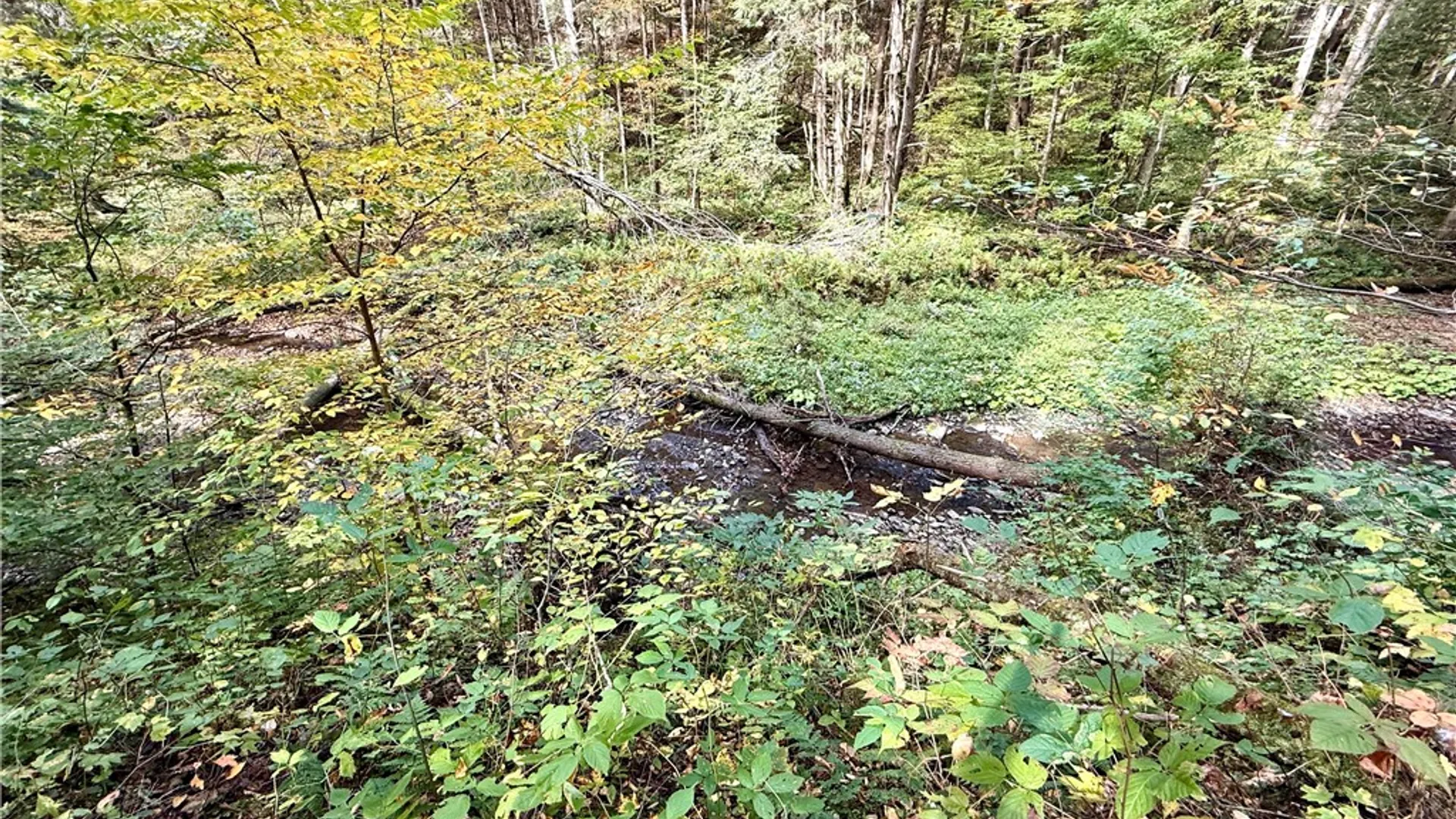 Property at 7465 Chappel Road, Hamilton, NY 13346 24