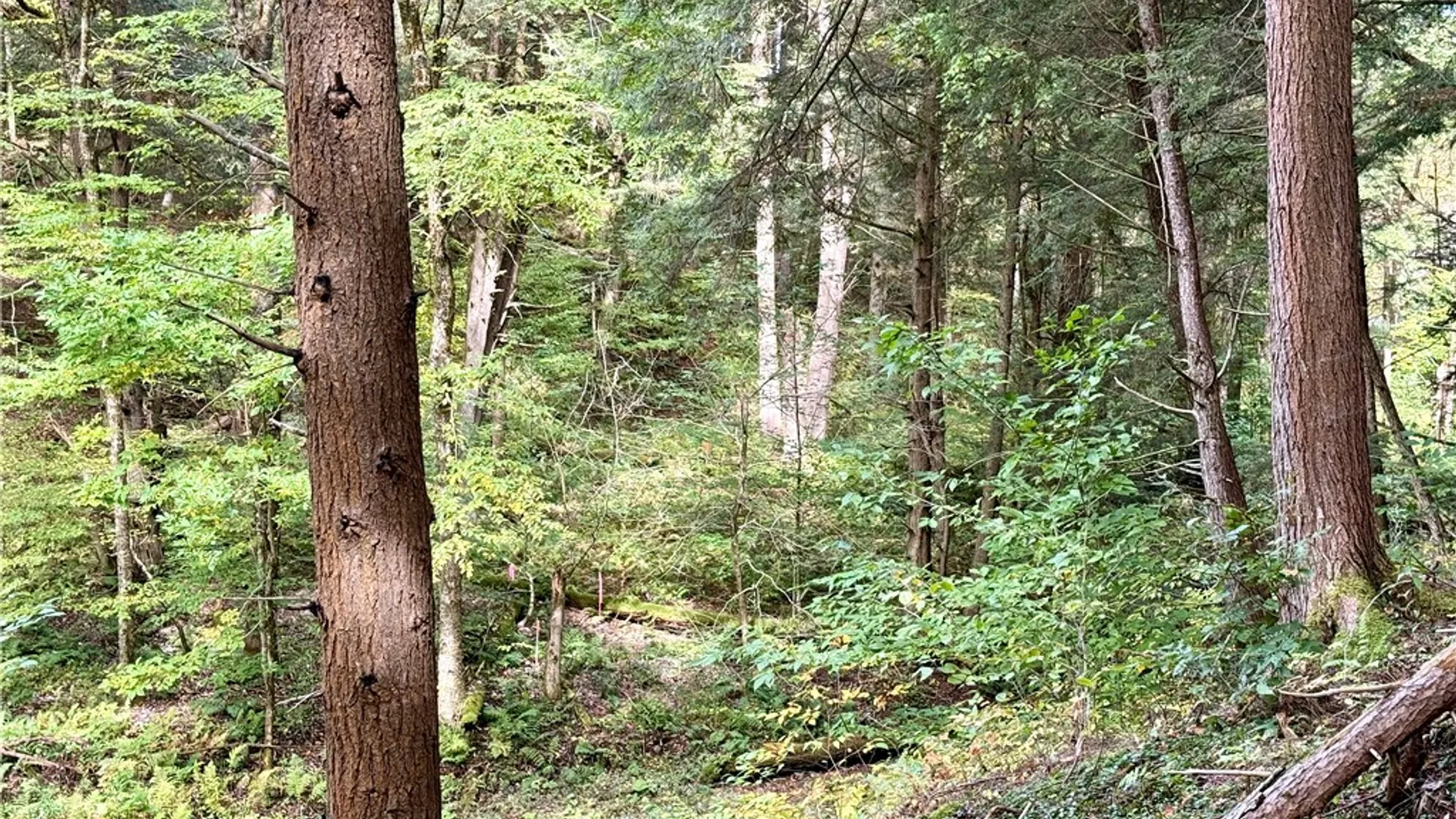 Property at 7465 Chappel Road, Hamilton, NY 13346 25