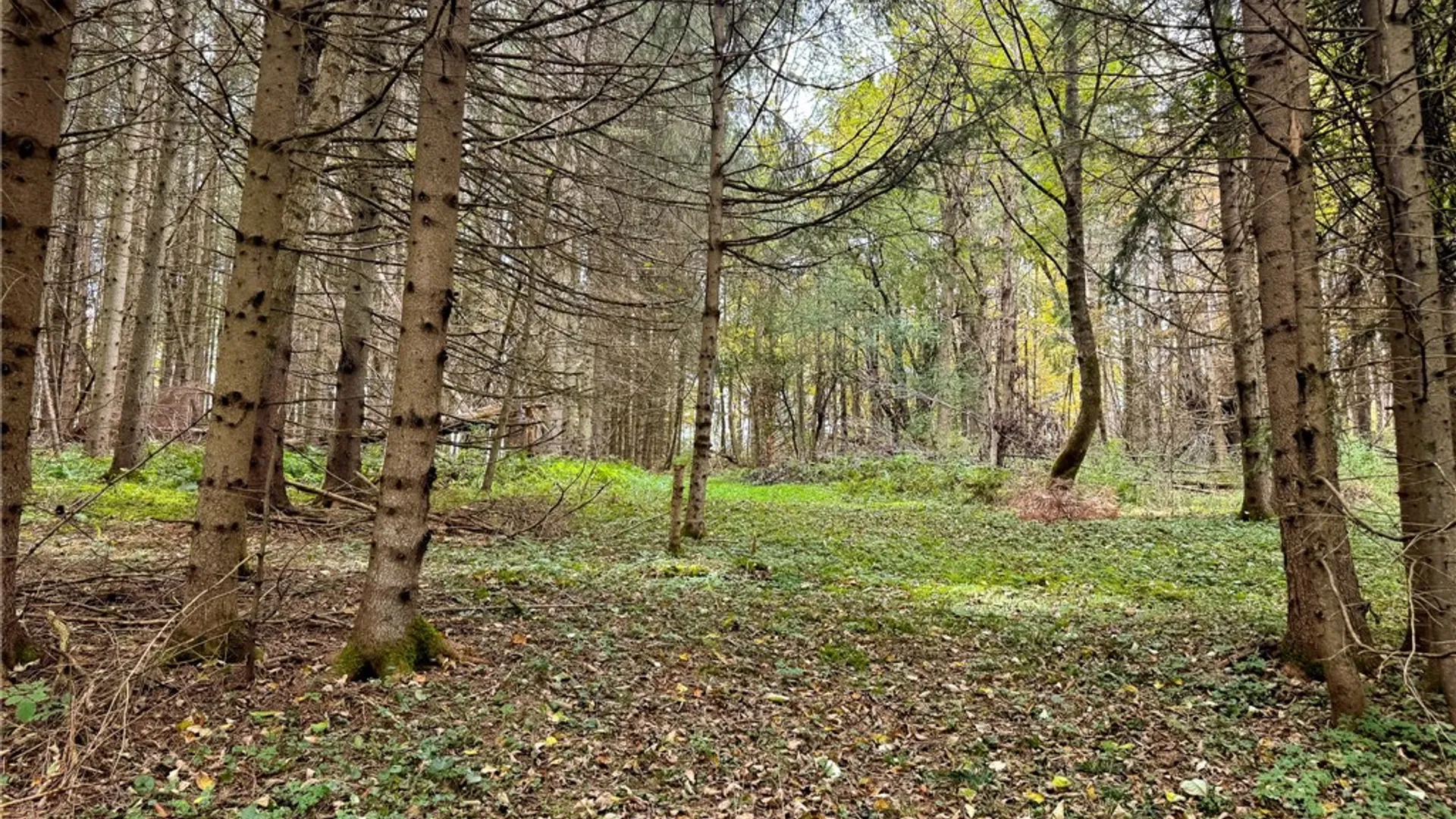 Property at 7465 Chappel Road, Hamilton, NY 13346 8