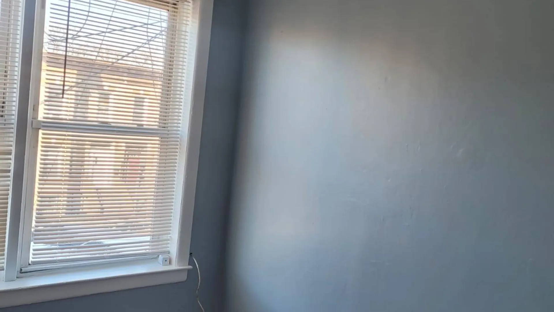 Property at 494 Hegeman Ave, Brooklyn, NY 11207 3