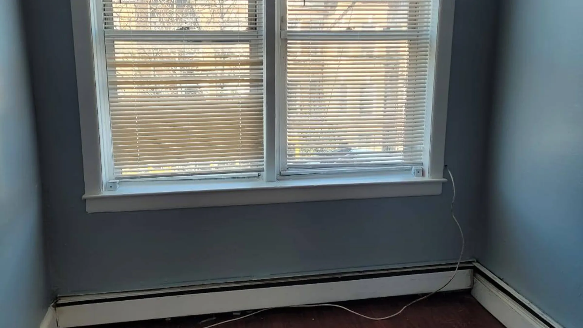 Property at 494 Hegeman Ave, Brooklyn, NY 11207 4