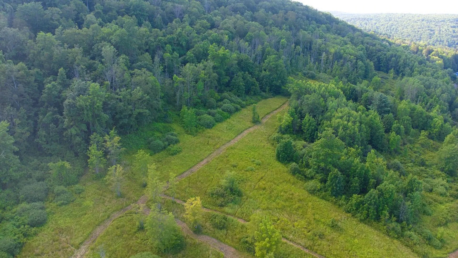 Property at 0 Tyler St. and Cornell Drive, Bainbridge, NY 13733 12