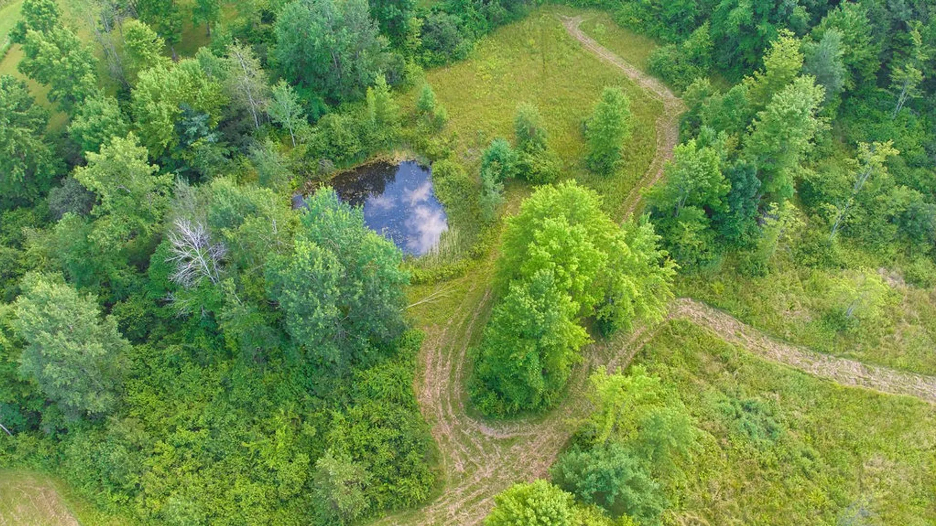 Property at 0 Tyler St. and Cornell Drive, Bainbridge, NY 13733 3