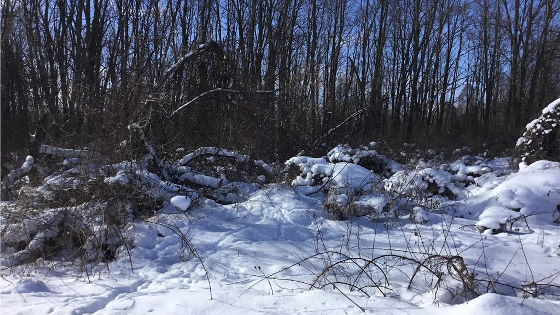 Property at Creek Road, Batavia, NY 14020 2