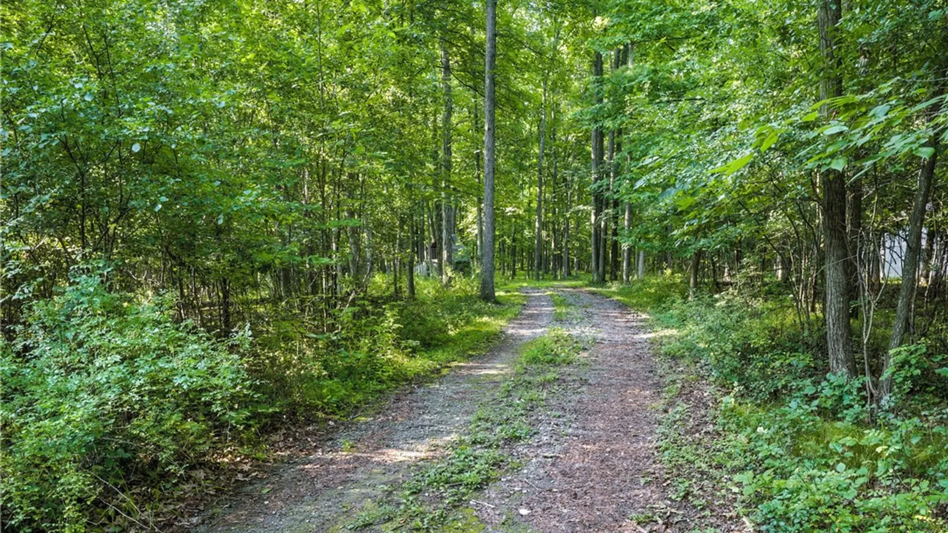 Property at 0 Silsbee Road, Wayne, NY 14840 9