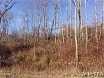 5338 Bryant Hill Road, Ellicottville, NY 14731