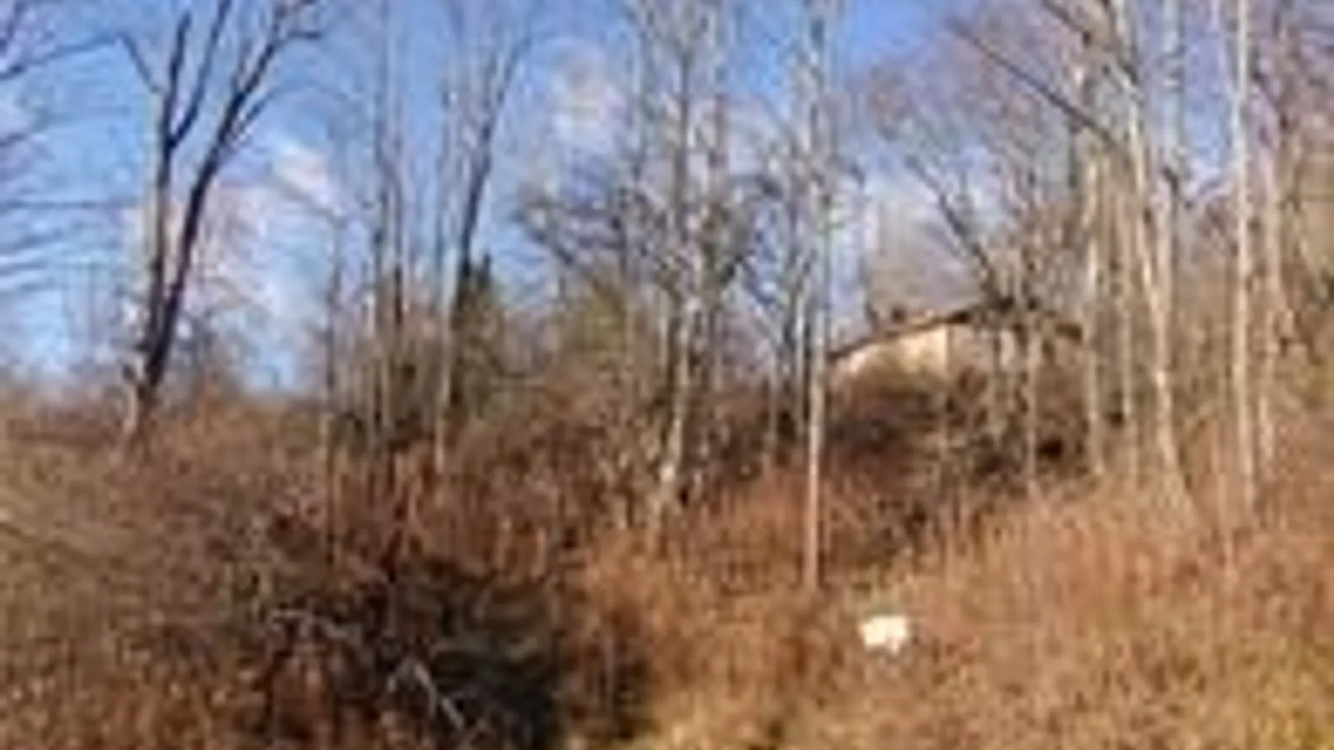 Property at 5338 Bryant Hill Road, Ellicottville, NY 14731 2